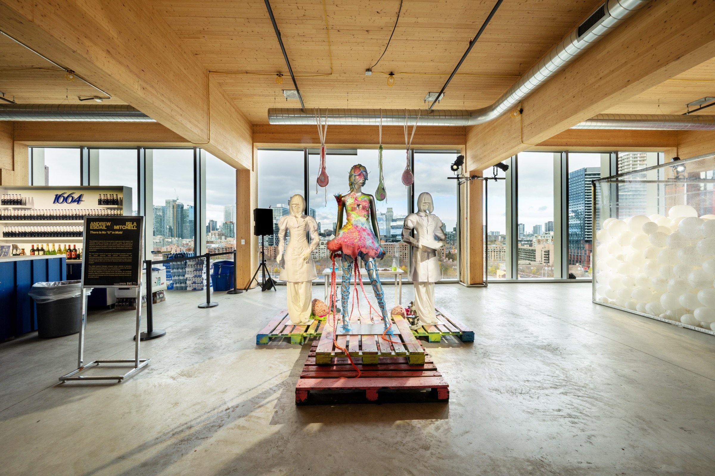 Art display at FAT